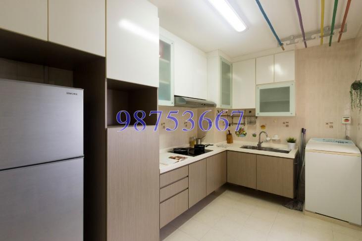 Blk 268A Compassvale Link (Sengkang), HDB 4 Rooms #138096752